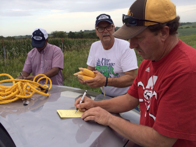 Crop tour scouts (from left to right) Ramesh Subbiah, Steve Fellure and Tim Gregerson record their corn yield samples from a field in southwest Iowa on Wednesday. (DTN photo by Pam Smith)